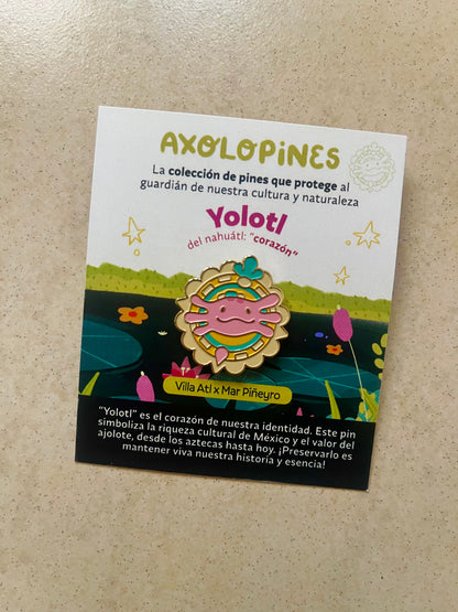 Pin "Guardían de Nuestra Identidad"